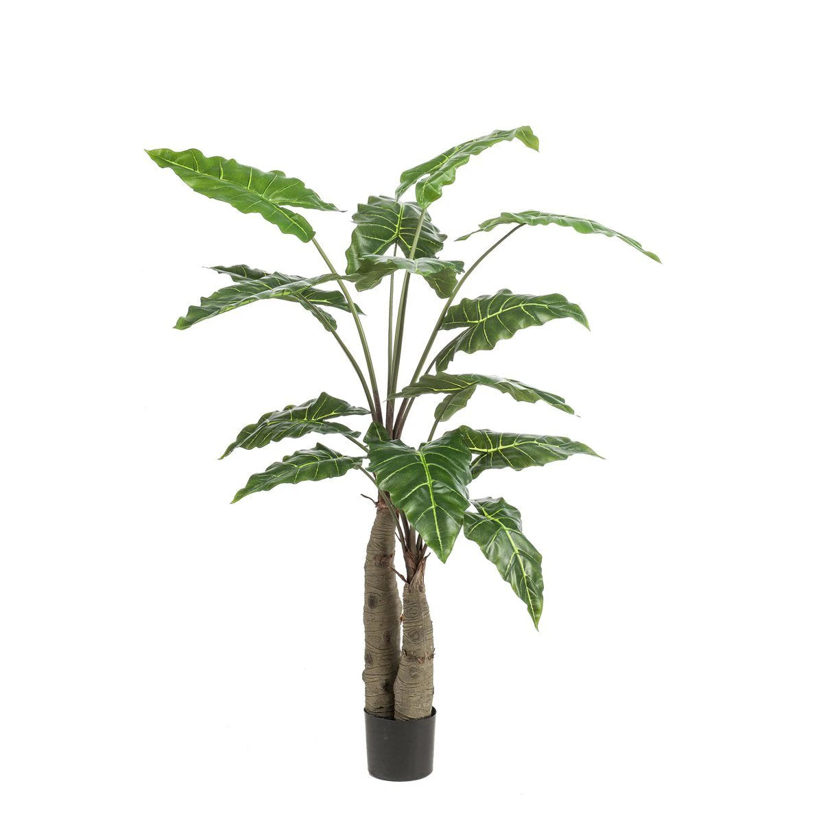 Art plant - Alocasia - Elephants ear - 150 cm by Green boutiQ