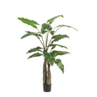 Art plant - Alocasia - Elephants ear - 150 cm by Green boutiQ