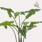 Artificial plant - Alocasia Frydek - Elephant's ear - 120 cm by Green boutiQ