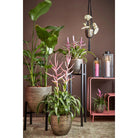 Plant stand Ascot Black by Mica Decorations