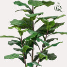 Artificial plant - Ficus Lyrata - Tobacco plant - 120 cm by Green boutiQ