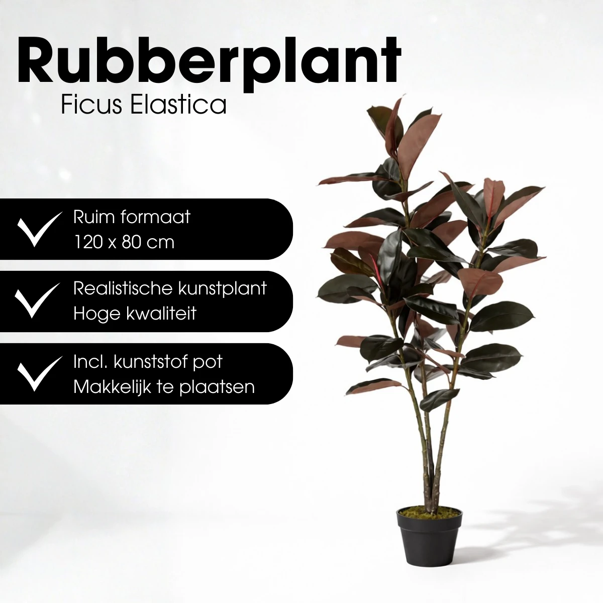 Artificial plant Rubber plant Red by Mica Decorations