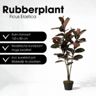 Artificial plant Rubber plant Red by Mica Decorations
