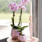 Kolibri Home I Pearl pot - Pink - Ø9cm by Kolibri Company