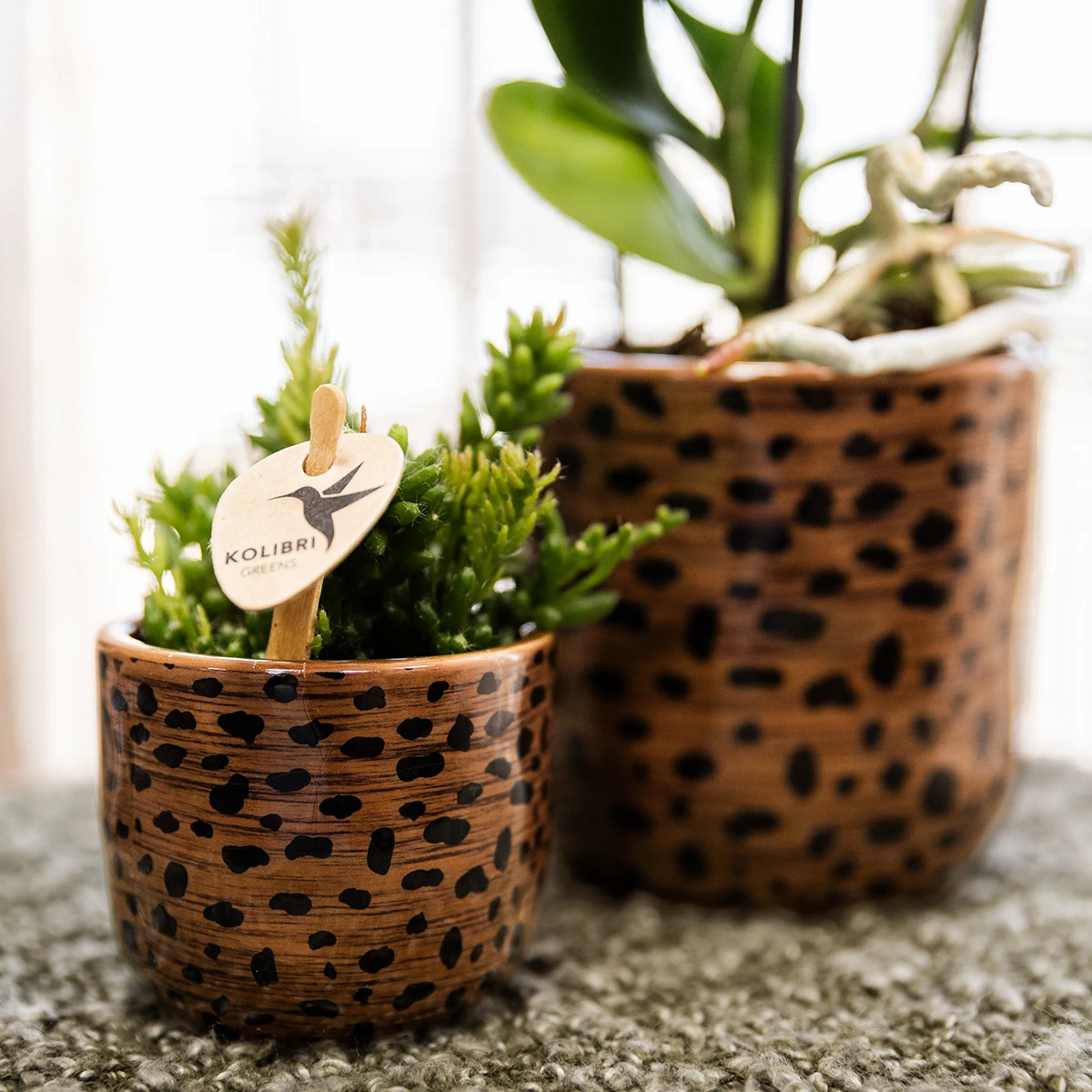 Kolibri Home | Leopard Sierpot - Ø6cm by Kolibri Company