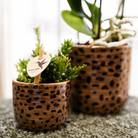 Kolibri Home | Leopard Sierpot - Ø6cm by Kolibri Company
