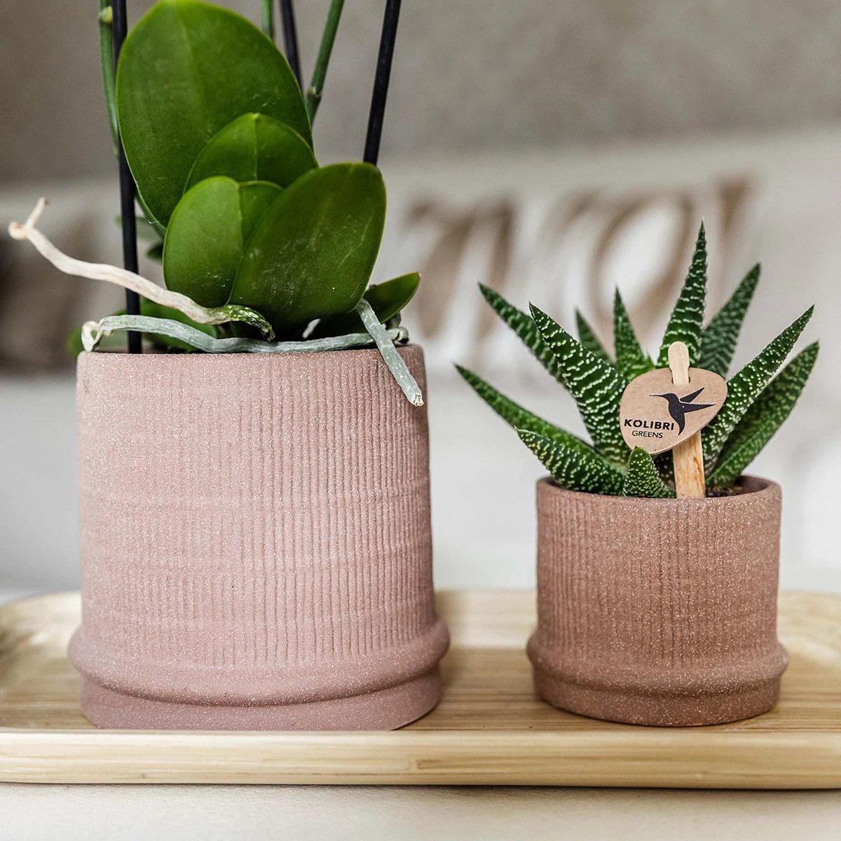 Hummingbirds Home | Bali sierpot - Sand - Ø6cm by Kolibri Company
